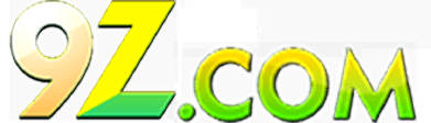 9Z Logo